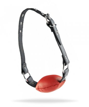 Hidden Desire Silence Gag