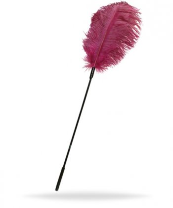 Ostrich Feather Pink
