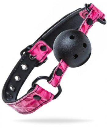 Sinful Ball Gag