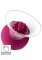 Vibrating & Rotating Nipple & Clitoral Pump