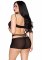 Opaque Mini Dress and Halter Teddy