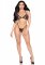 Fishnet Bra Top and G-String Panty