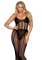 Net and Opaque Bodysuit and Skirt