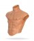 Alter Ego Silicone Male Torso Shirt