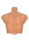 Alter Ego Silicone Male Torso Shirt