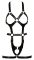 Bad Kitty Strap Harness