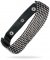 Bad Kitty Choker Collar