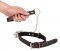 Bad Kitty Collar and Leash