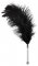 Bad Kitty Feather Wand
