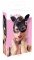 Cat Mask Rhinestones