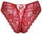 Cottelli Lace Panty crotchless