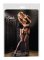 Cottelli Suspender Tights