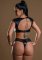 Daring Intimates Naughty Whispers Wetlook Sexy Bra Set