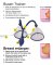Easy Grow breast pump