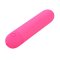 Mini Vibrator Stefan Fuschia
