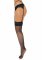 Net Stockings with Lace Top