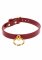 Rött halsband av högkvalitativ PU-läder med guldiga detaljer av nickelfri metall. Slitstarka material. Justerbar passform.