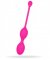 Remote Dual Motor Kegel System