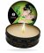 Shunga Candle Zenitude - Green Tea