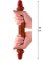 Silicone Foreskin Double Dong 35 cm