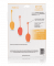 Kegel Training Set Mango