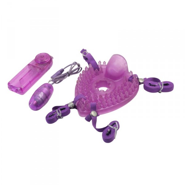 Timeless Pleasure Turtle