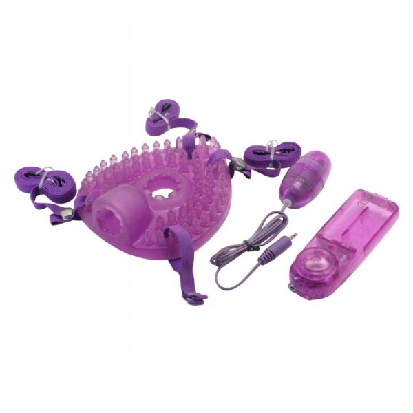 Timeless Pleasure Turtle