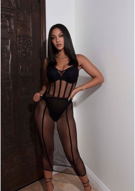 Net and Opaque Bodysuit and Skirt