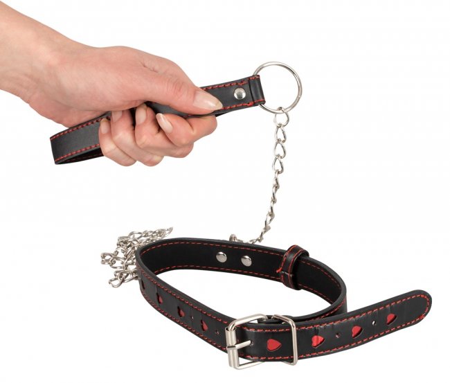 Bad Kitty Collar and Leash