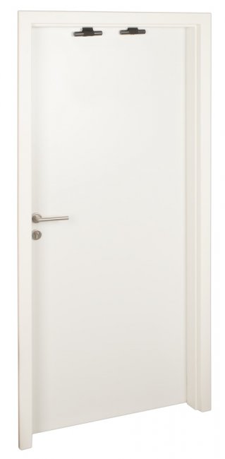 Bad Kitty Door Swing