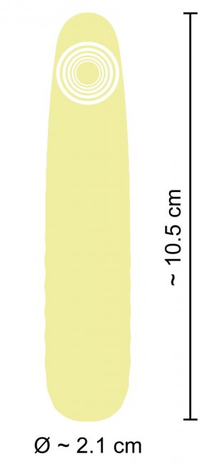 Cuties Mini Vibrator