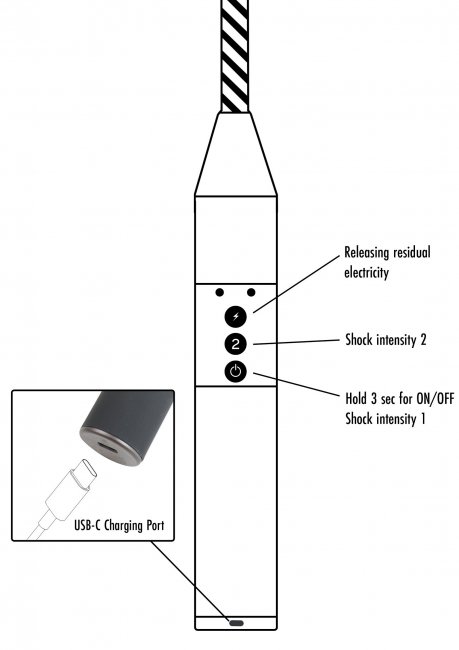 Extreme Electro Riding Crop