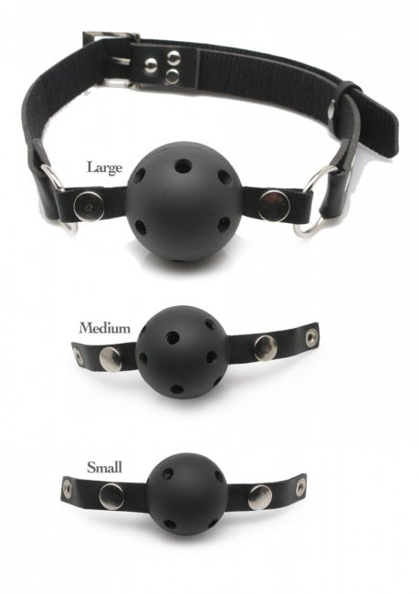 FF Ball Gag Training System
