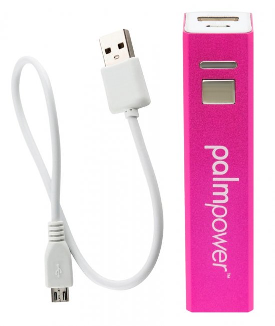 Palm Power Massage Wand