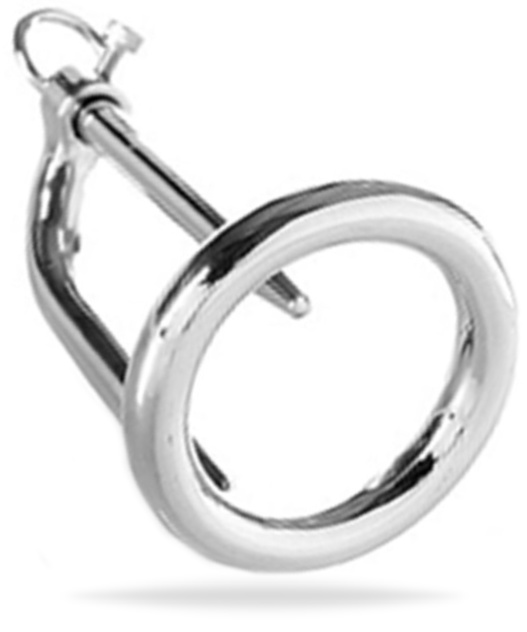 Penis Plug Chastity