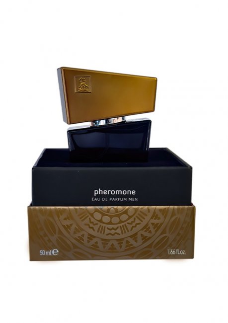 Shiatsu Pheromone Men Gray