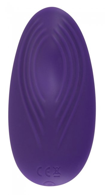 Sweet Smile Panty Vibrator