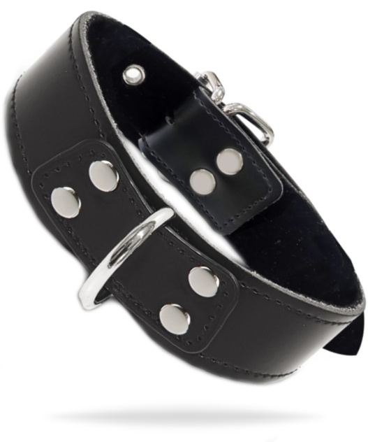 Taboom Elegant D-Ring Collar
