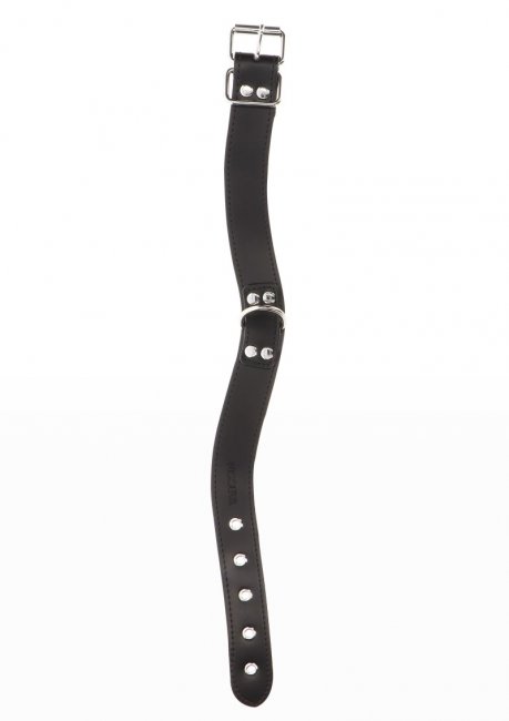 Taboom Elegant D-Ring Collar