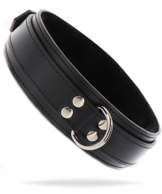 Taboom Heavy D-Ring Collar