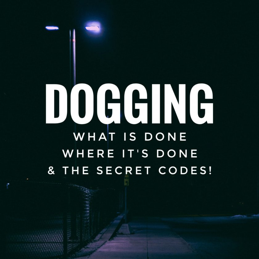 Car dogging